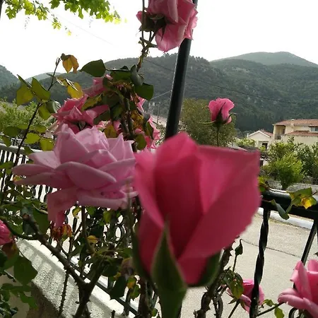 Апартаменты Nostalgia A In 50 Metres From The Sea *