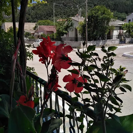 Nostalgia A In 50 Metres From The Sea * Сами