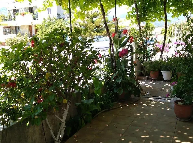 Nostalgia A In 50 Metres From The Sea