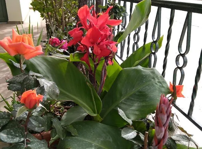 Nostalgia A In 50 Metres From The Sea Σάμη