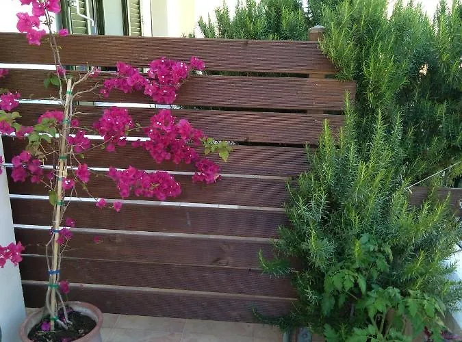 Nostalgia A In 50 Metres From The Sea *