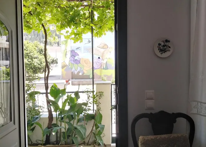 Nostalgia A In 50 Metres From The Sea *