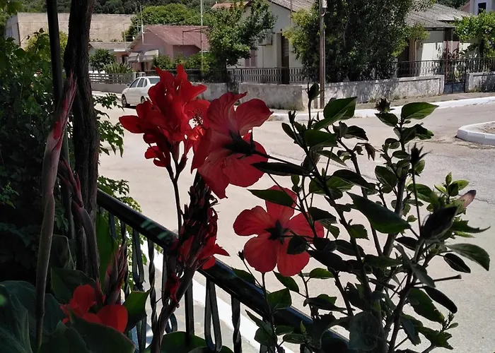 Nostalgia A In 50 Metres From The Sea * Σάμη