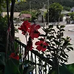 Nostalgia A In 50 Metres From The Sea * Sami (Kefalonia)