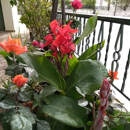 Nostalgia A In 50 Metres From The Sea サミ