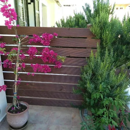 Nostalgia A In 50 Metres From The Sea *